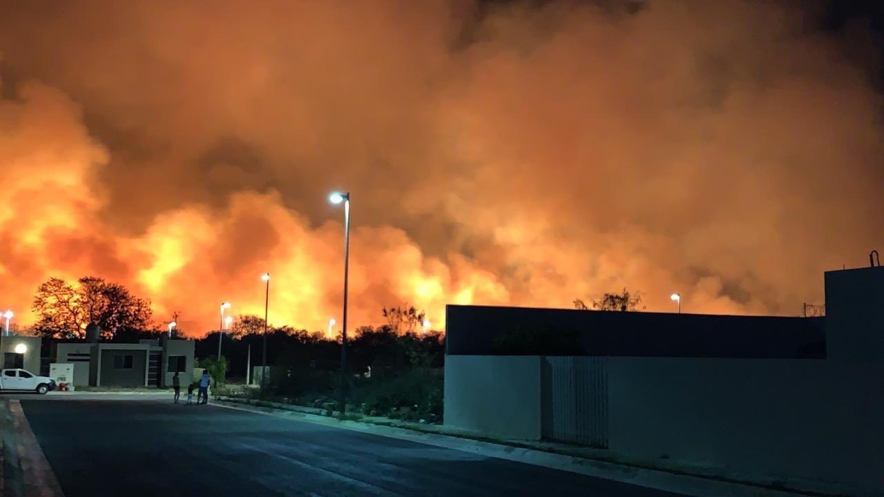 Incendio consume 200 hectáreas en manglar Los Petenes, en Campeche