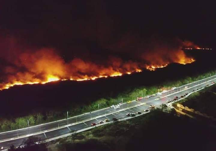 Foto: Incendio consume hectáreas en manglar Los Petenes, Campeche 16 abril 2019