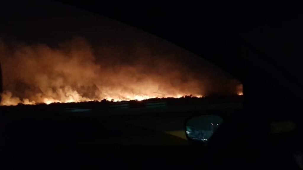 Foto: Incendio consume hectáreas en manglar Los Petenes, Campeche 16 abril 2019