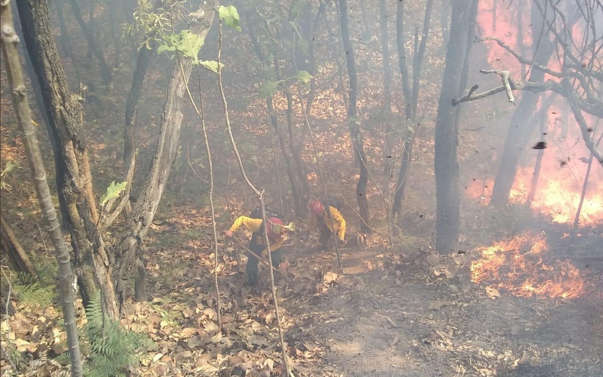 Foto: Incendio en Bosque de la Primavera, 17 de abril. Twitter @CONAFOR