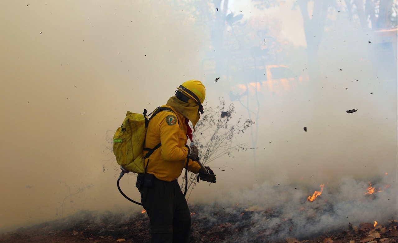 Foto: combate de incendio forestal, 11 de abril 2019. Twitter @CONAFOR