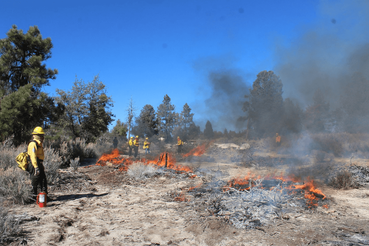Foto: Incendio forestal en Baja California, abril del 2019, México