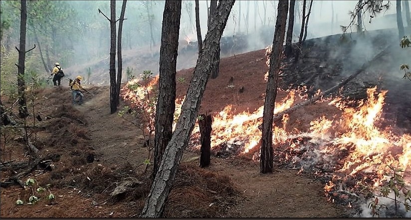 Foto: Incendio forestal en Guerrero, 29 de abril 2019. Twitter @CONAFOR