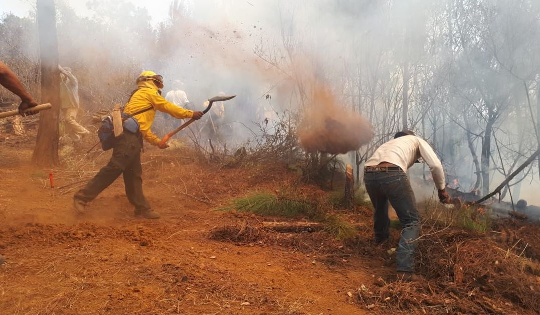 Controlado en 50% incendio forestal en Santa María, Cuernavaca