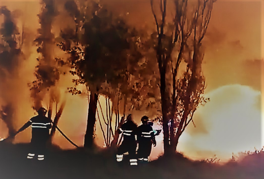 Xochimilco: Se registra incendio en Parque Ecológico Cuemanco; piden evitar la zona