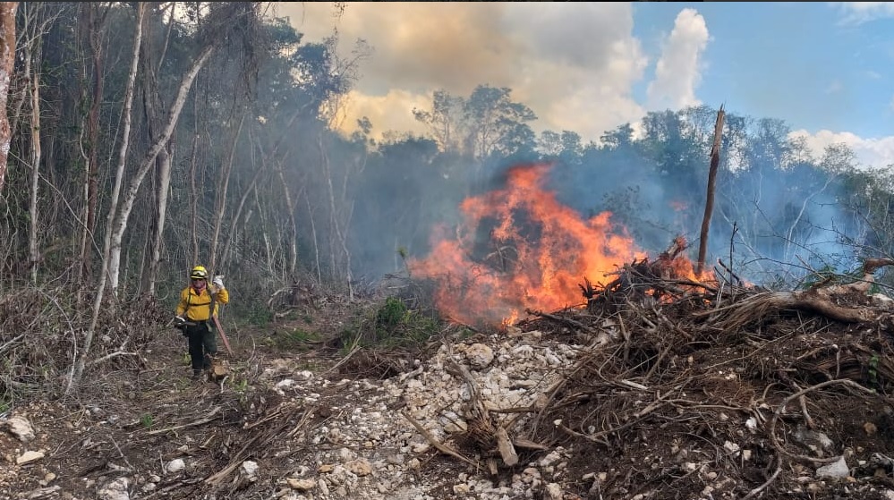 Foto: Combate de incendios forestales, 3 de abril 2019. Twitter @CONAFOR