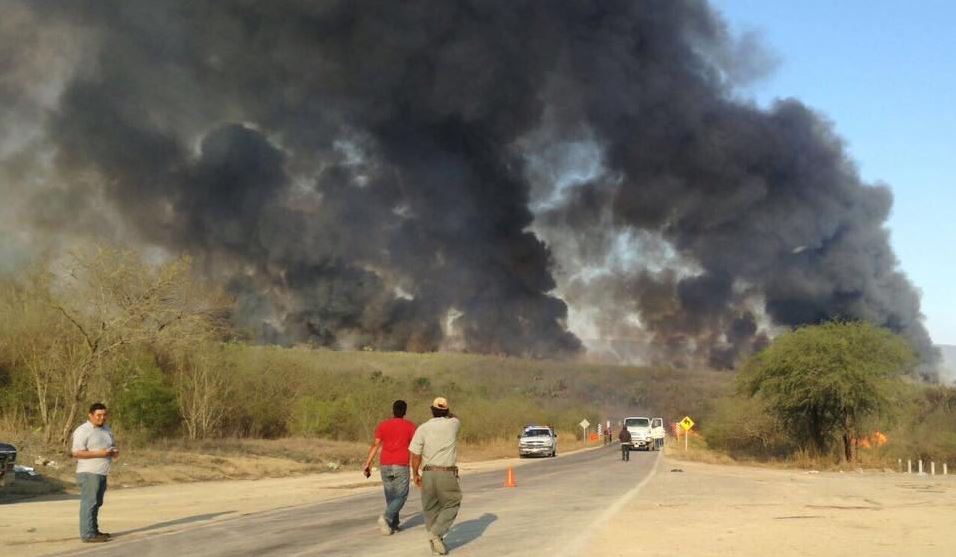 Cinco incendios forestales asedian Tamaulipas