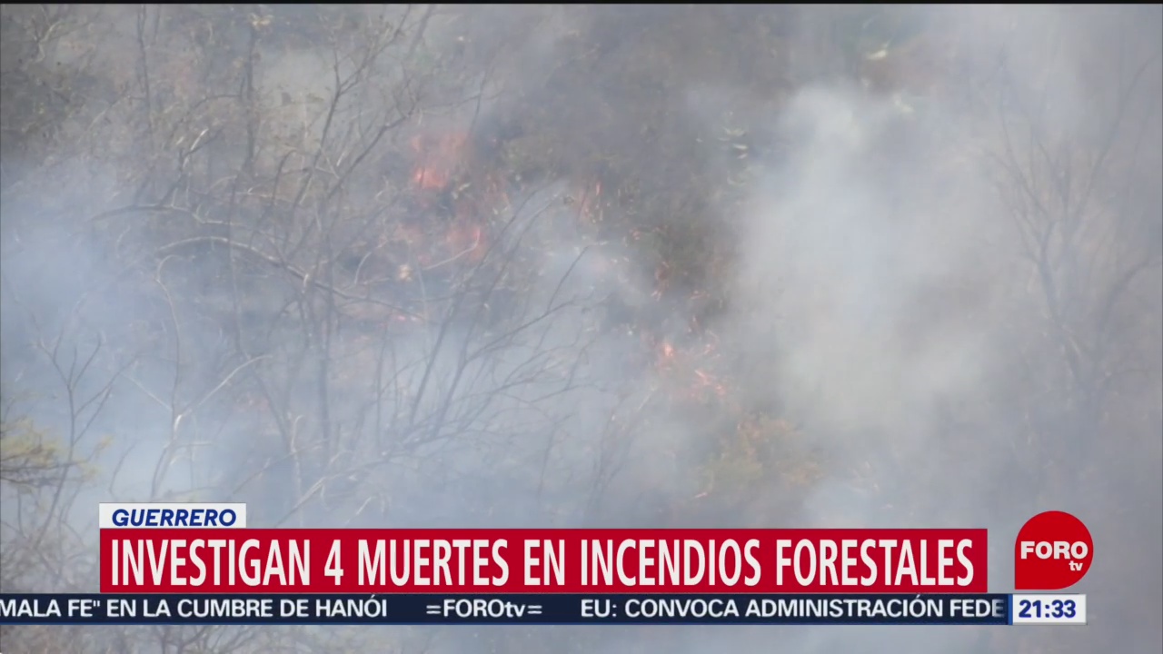 Foto: Muerte Comuneros Incendio Forestal Guerrero 25 de Abril 2019