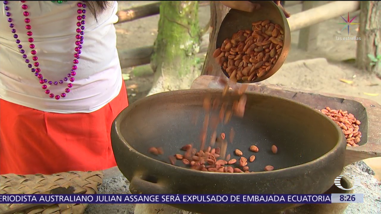 La ruta del cacao en Tabasco y sus orígenes ancestrales