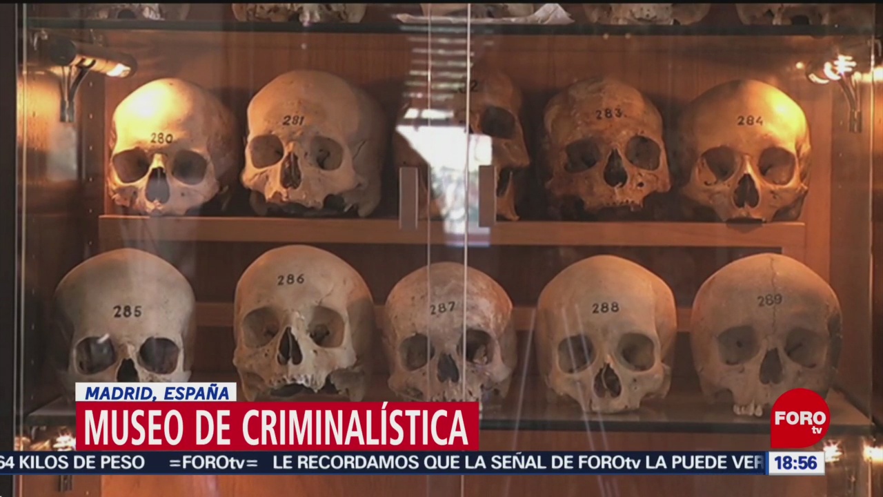 Foto: Museo de antropología médica forense, en Madrid
