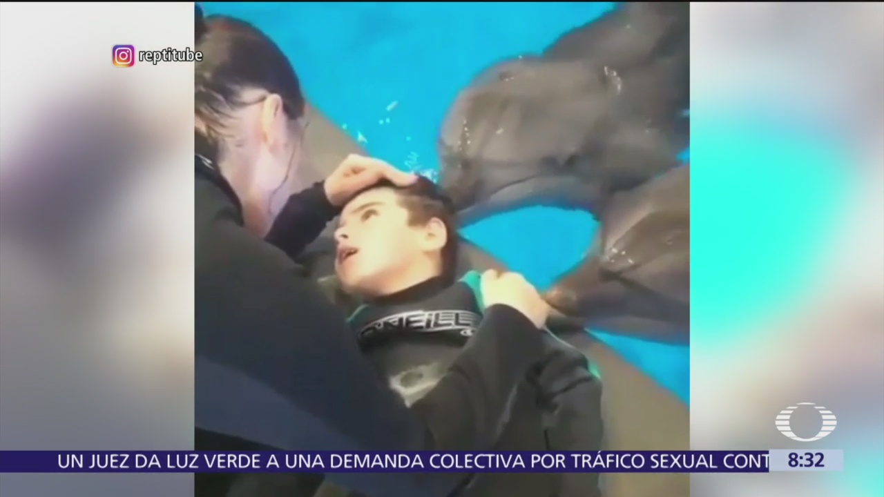FOTO: Niño con parálisis recibe delfinoterapia, 19 ABRIL 2019