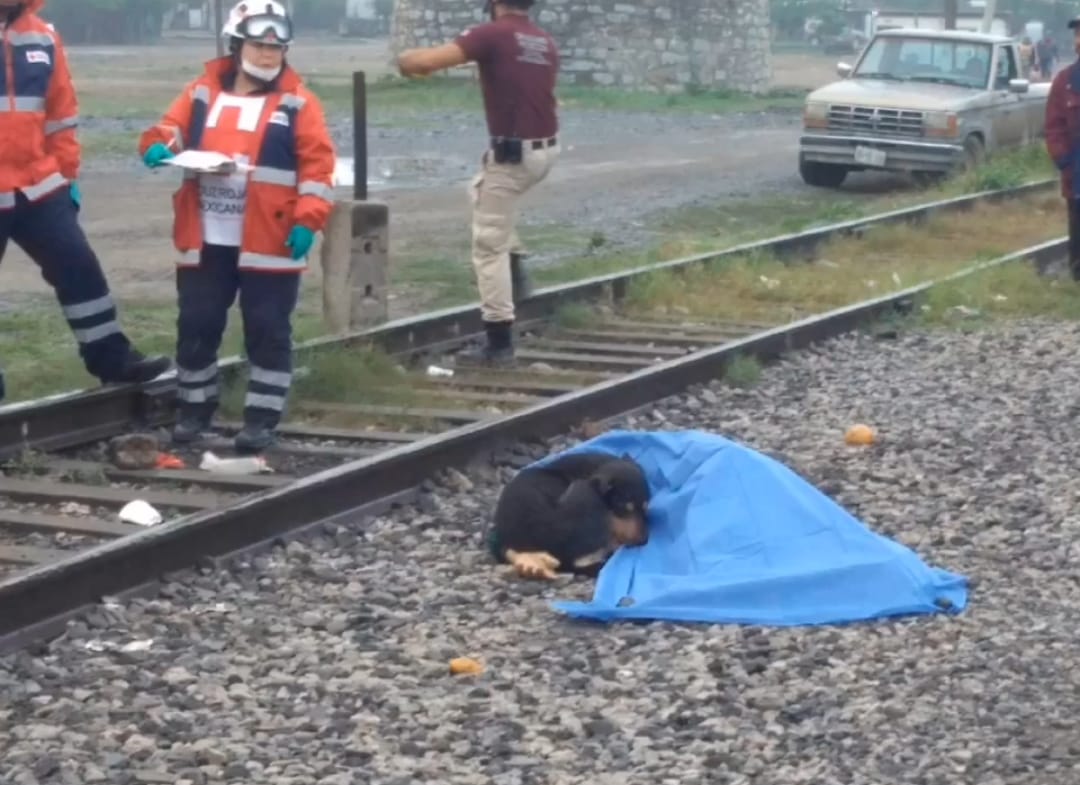 foto ‘El Bronco’ adopta a perrito que cuidó a su dueño atropellado por el tren 4 abril 2019