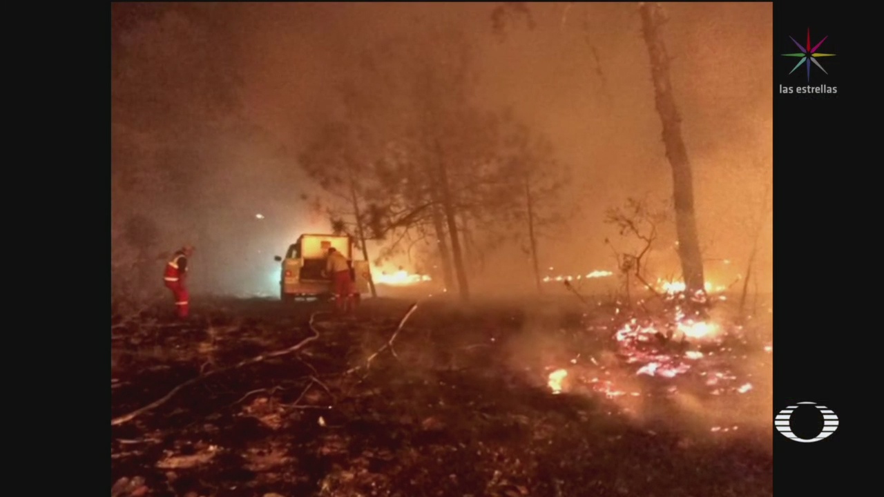Foto: Protección Civil Confirma Incendios Estados México 15 de Abril 2019