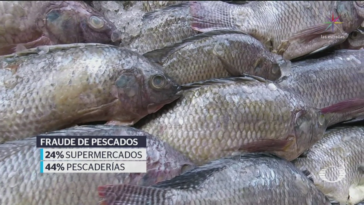 FOTO: ¡Que no te engañen! Tres de cada 10 ventas de pescado son fraudulentas, 18 ABRIL 2019