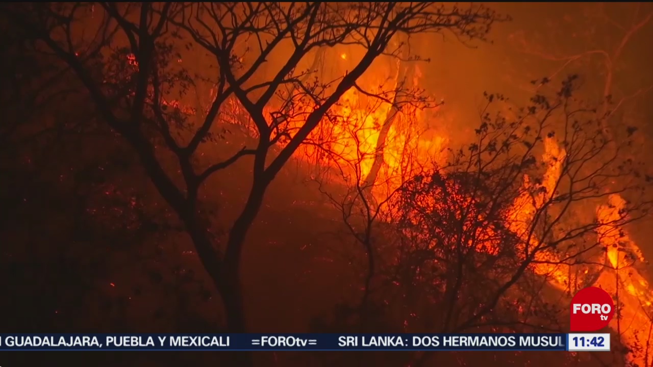 Reportan 13 incendios forestales activos en Chiapas