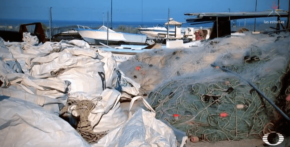 Roban redes de pesca de totoaba en San Felipe, durante disturbios