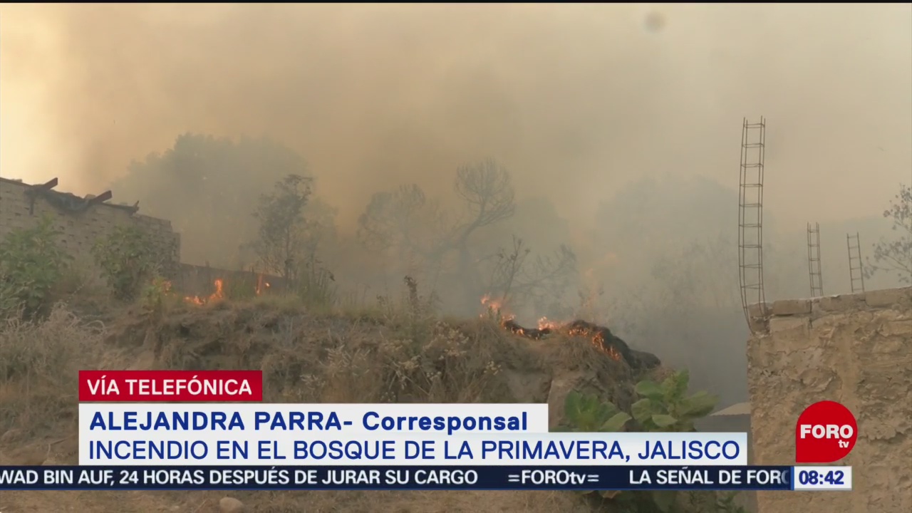 FOTO: Suman casi 20 horas de incendio en Bosque de La Primavera, Jalisco, 13 de abril 2019