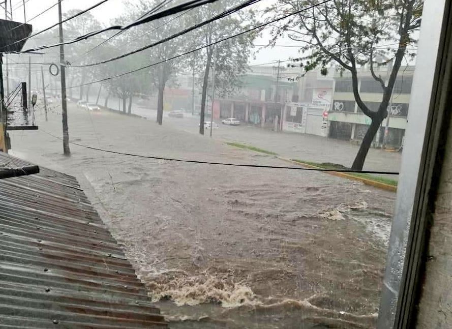 Tormenta con granizo deja árboles caídos y vehículos varados en Xalapa, Veracruz