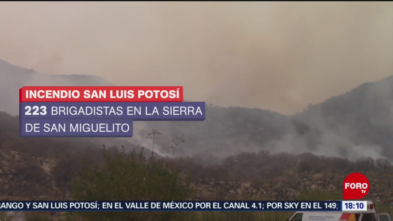 FOTO: 102 incendios aquejan a 17 estados mexicanos