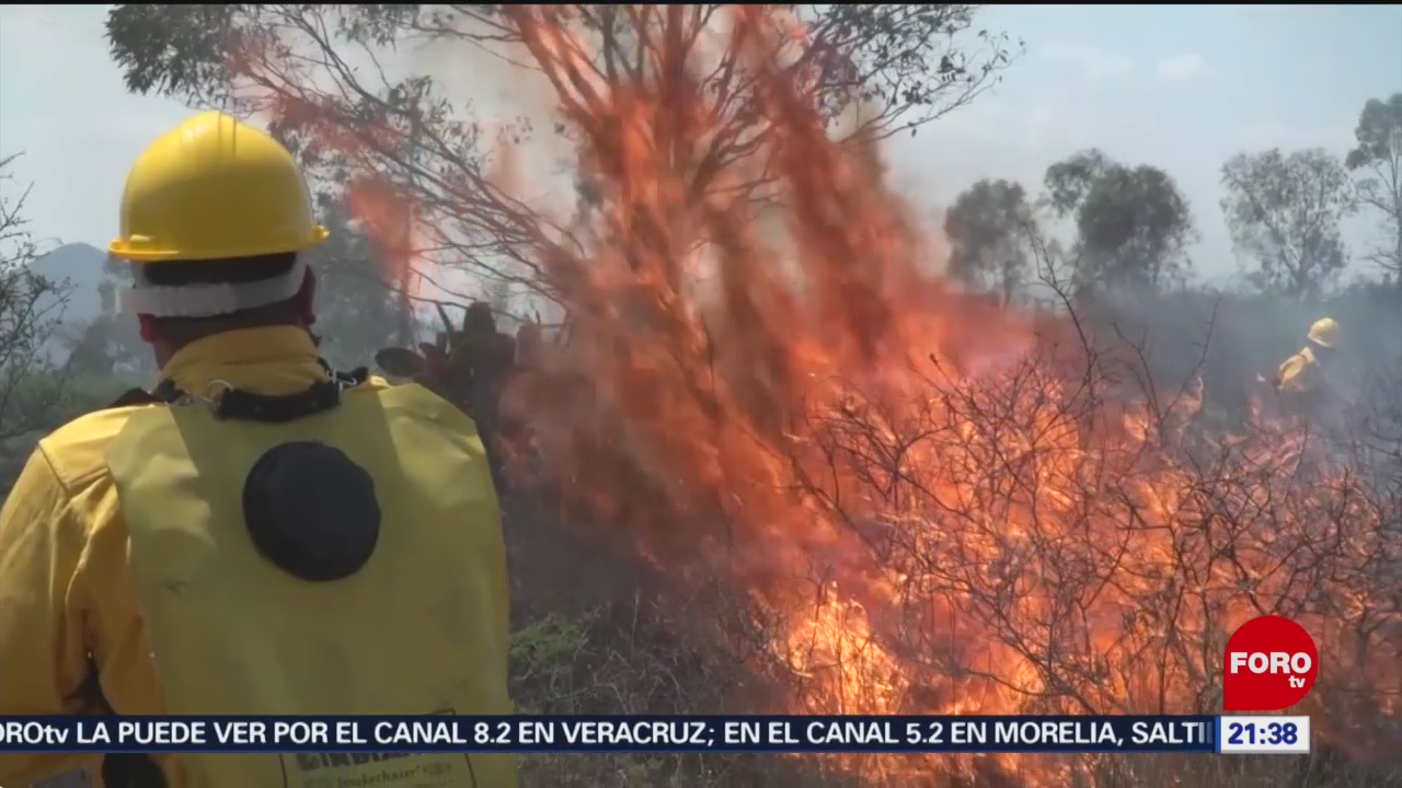 Foto: Incendios Forestales En México 28 Mayo 2019
