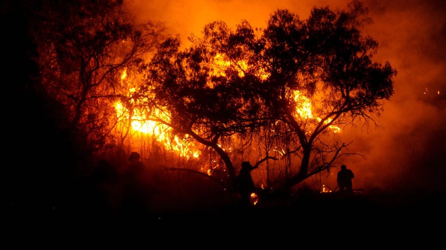 31% de incendios forestales en 2019, intencionales: Conafor