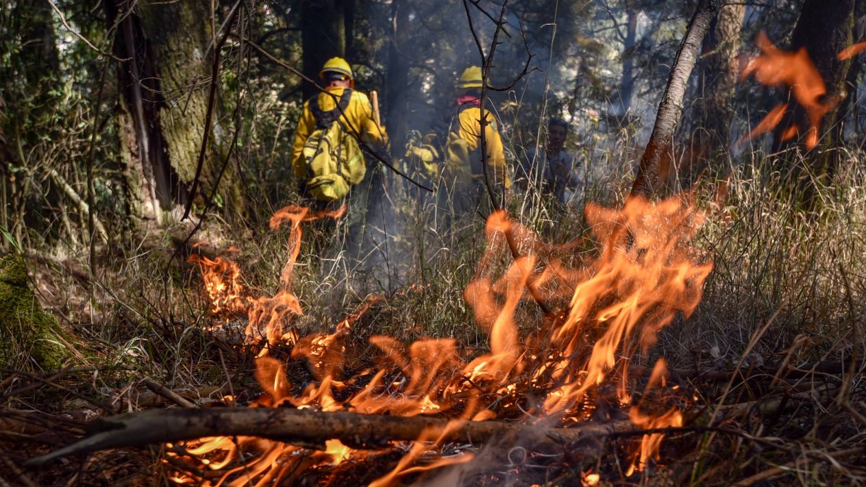 A la fecha los días/hombre aplicados han sido 194,540 días-hombre en el combate de incendios forestales (Cuartoscuro)