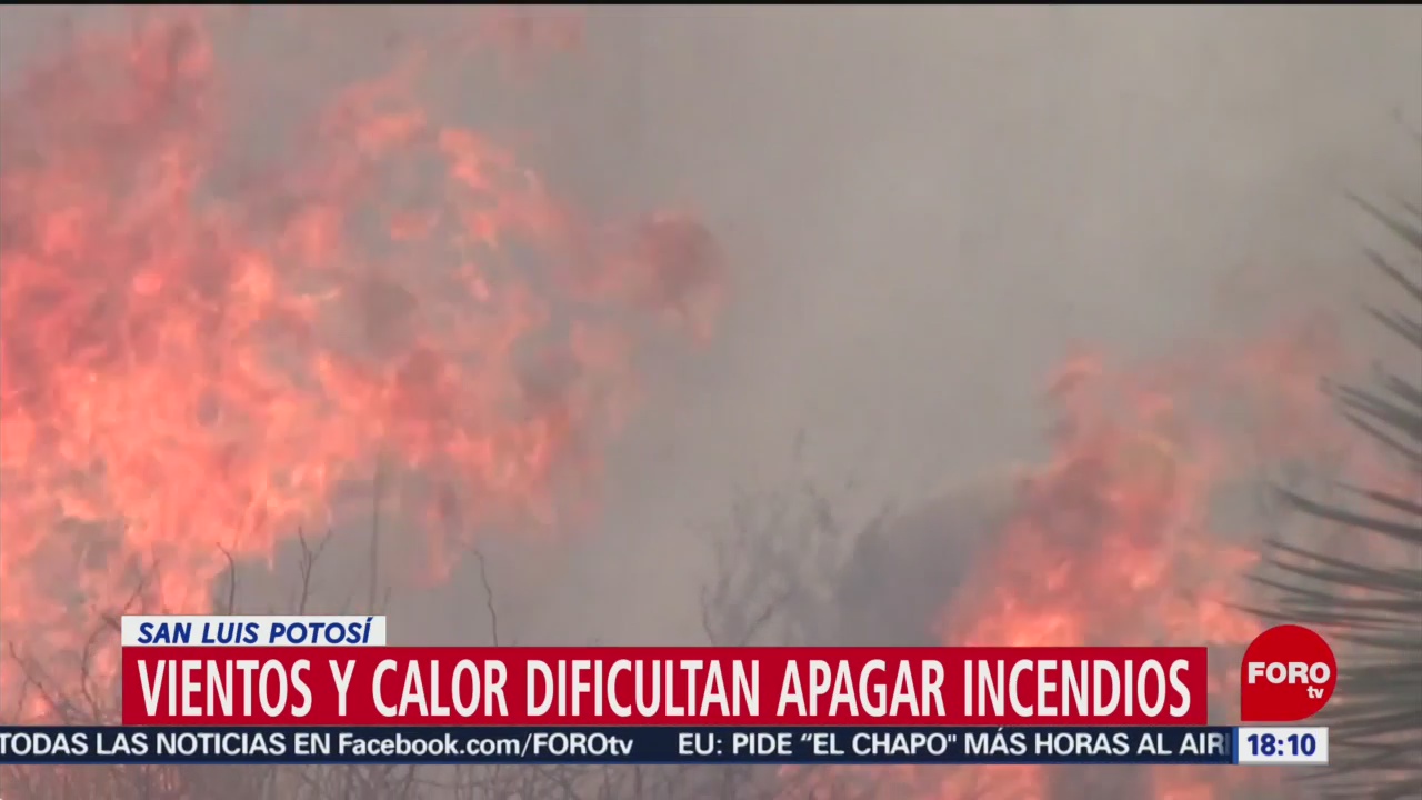 FOTO: Altas temperaturas dificultan extinguir incendios forestales en SLP, 12 MAYO 2019