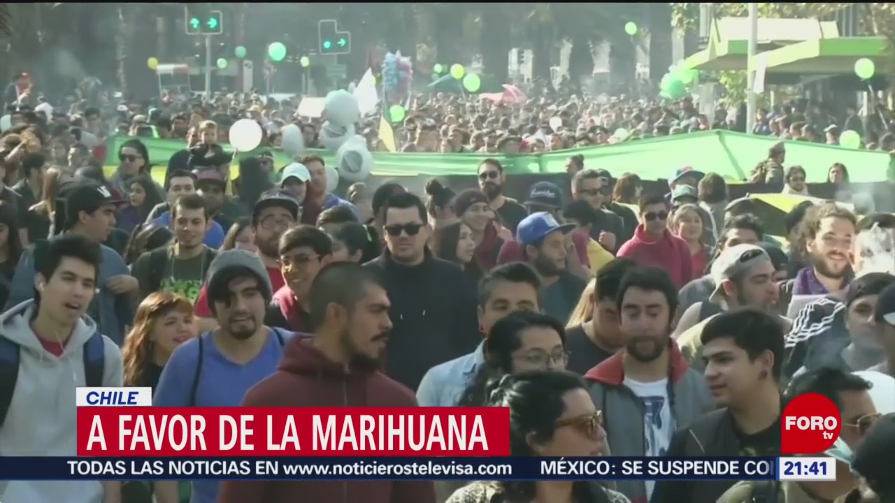 Foto: Legalización Marihuana DRrogas Chile 20 de Mayo 2019