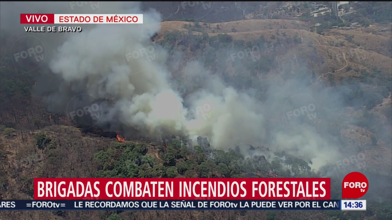 Foto: Brigadas combaten incendios forestales en Valle de Bravo