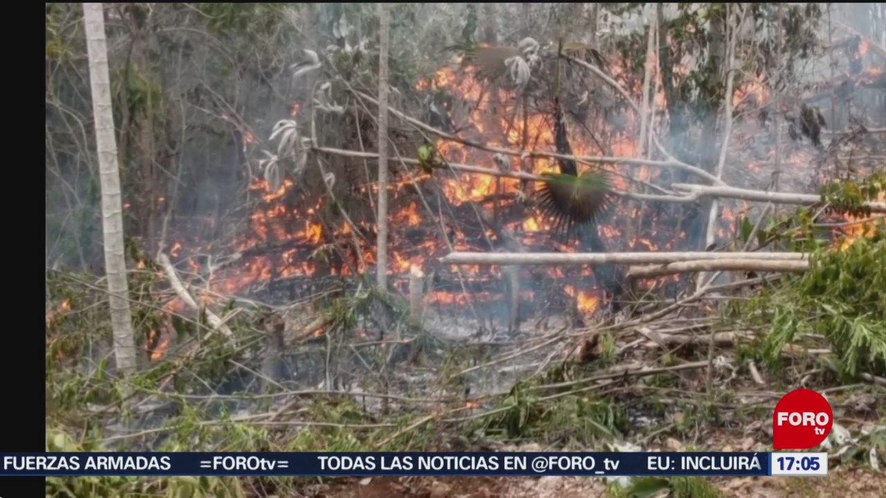 FOTO: Brigadistas batallan por combatir dos incendios forestales en Quintana Roo, 25 MAYO 2019