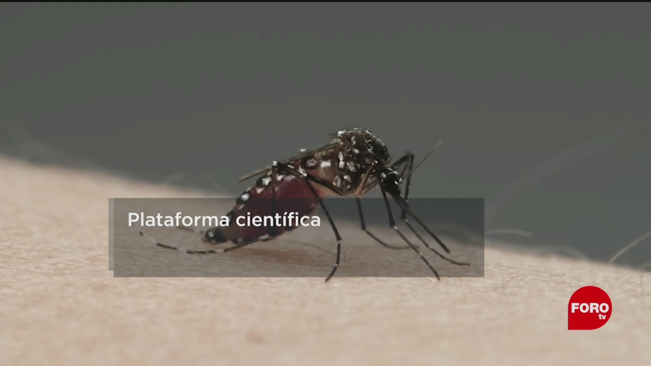 FOTO: Científicos mexicanos desarrollan vacuna contra chikungunya, 19 MAYO 2019