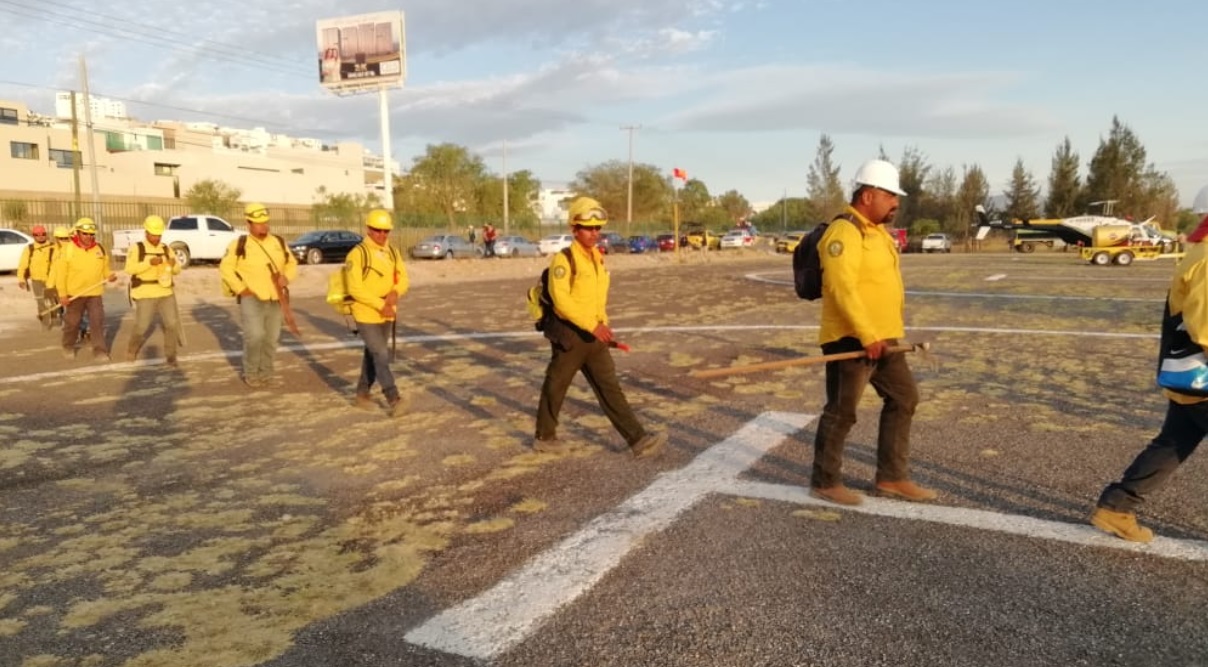 Foto: Elementos de la Comisión Nacional Forestal avanzan en control de incendios forestales en San Luis Potosí, mayo 12 de 2019 (Twitter: @CONAFOR )