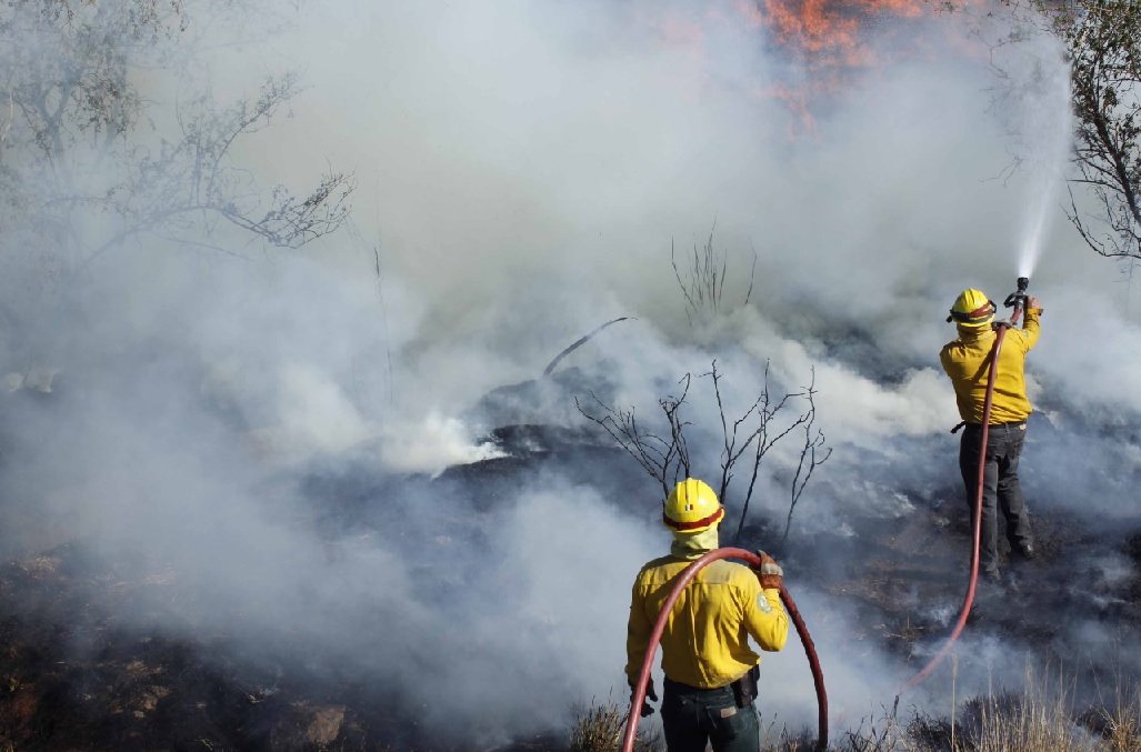 Más de 2,400 brigadistas combaten incendios forestales en México