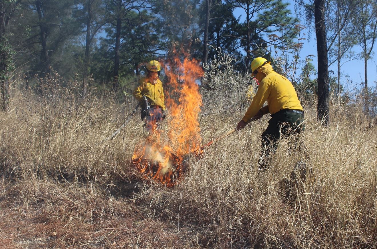 Foto: Combatientes laboran para apagar los incendios forestales, 11 mayo 2019