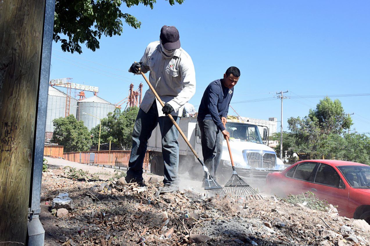 Foto: Trabajadores del Ayuntamiento de Cajeme iniciaron con acciones preventivas para erradicar las plagas de alacranes, 24 mayo 2019