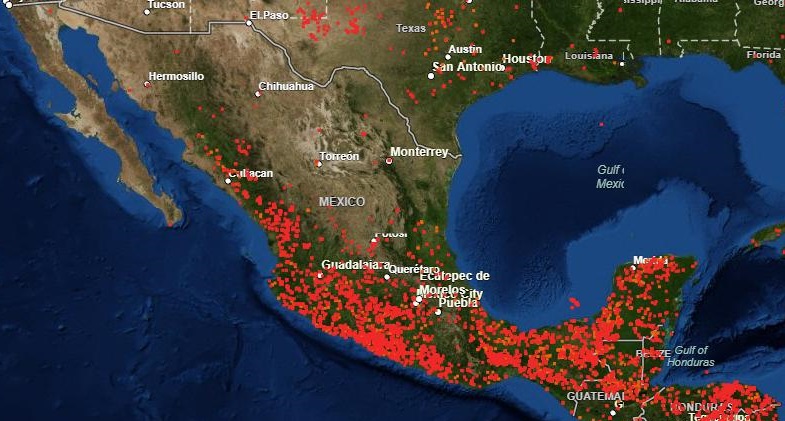 Foto: Incendios forestales en México. El 12 de mayo de 2019