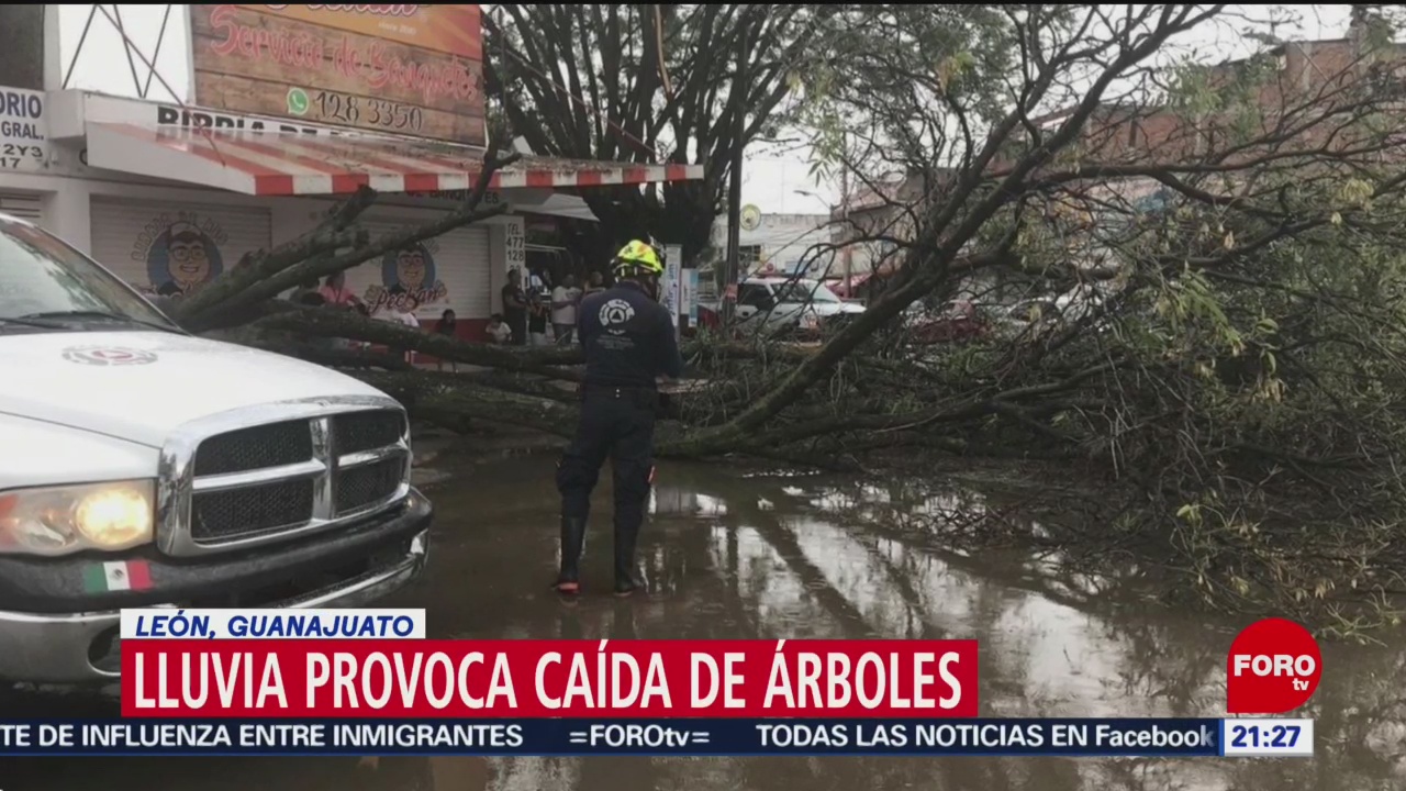 FOTO: Fuerte lluvia provoca caída árboles y postes en León, Guanajuato, 25 MAYO 2019