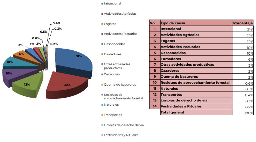 Gráfica que indica las causas de los incendios en lo que va del 2019 según el reporte semanal de incendios de la Conafor (Conafor/Captura de pantalla)