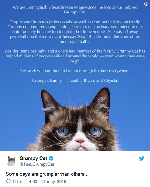 Foto Muere Grumpy Cat, la famosa gatita de los memes 17 mayo 2019