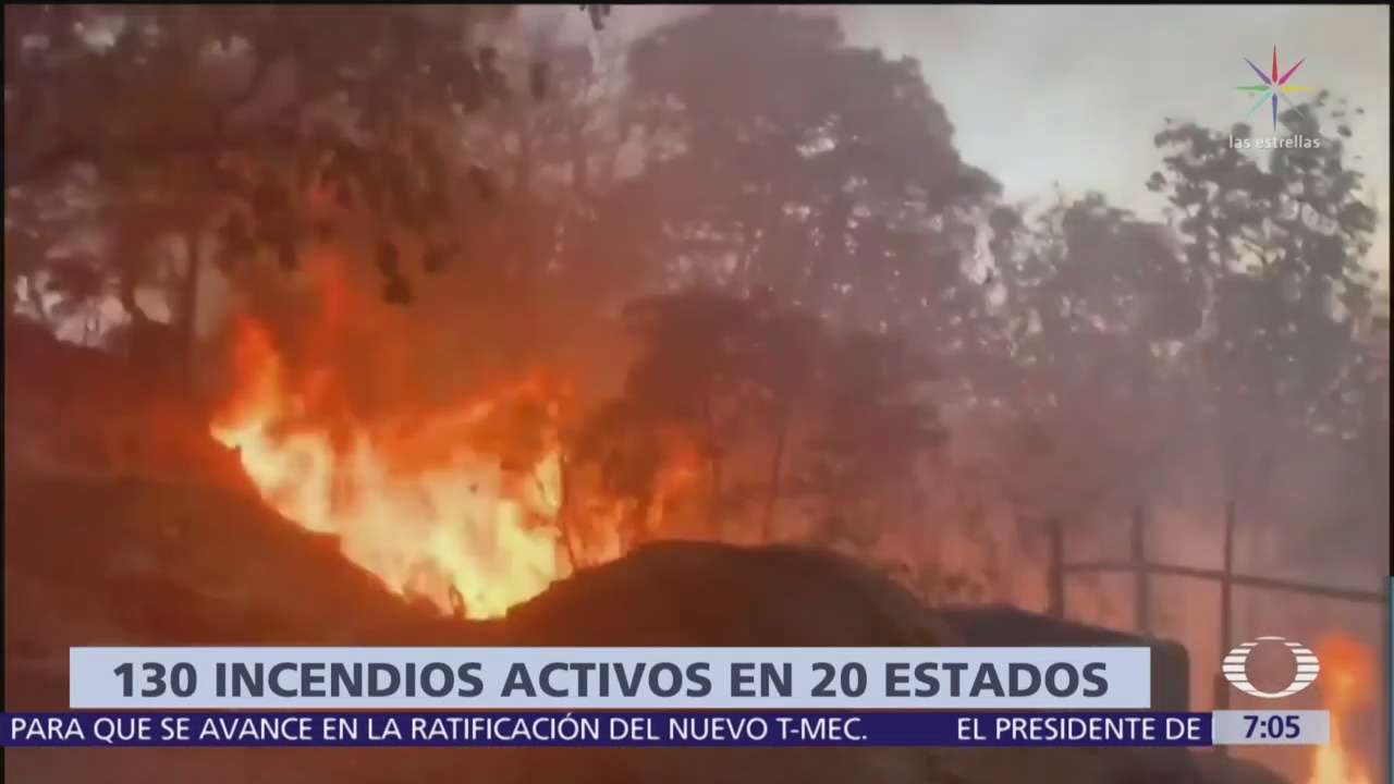 Hay 130 incendios activos en 20 entidades de México, informa Conafor