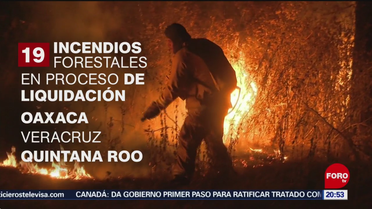 Foto: Incendios Forestales México Conafor 27 Mayo 2019