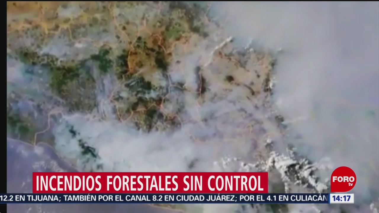 FOTO: Humo de incendios forestales, visibles desde el espacio