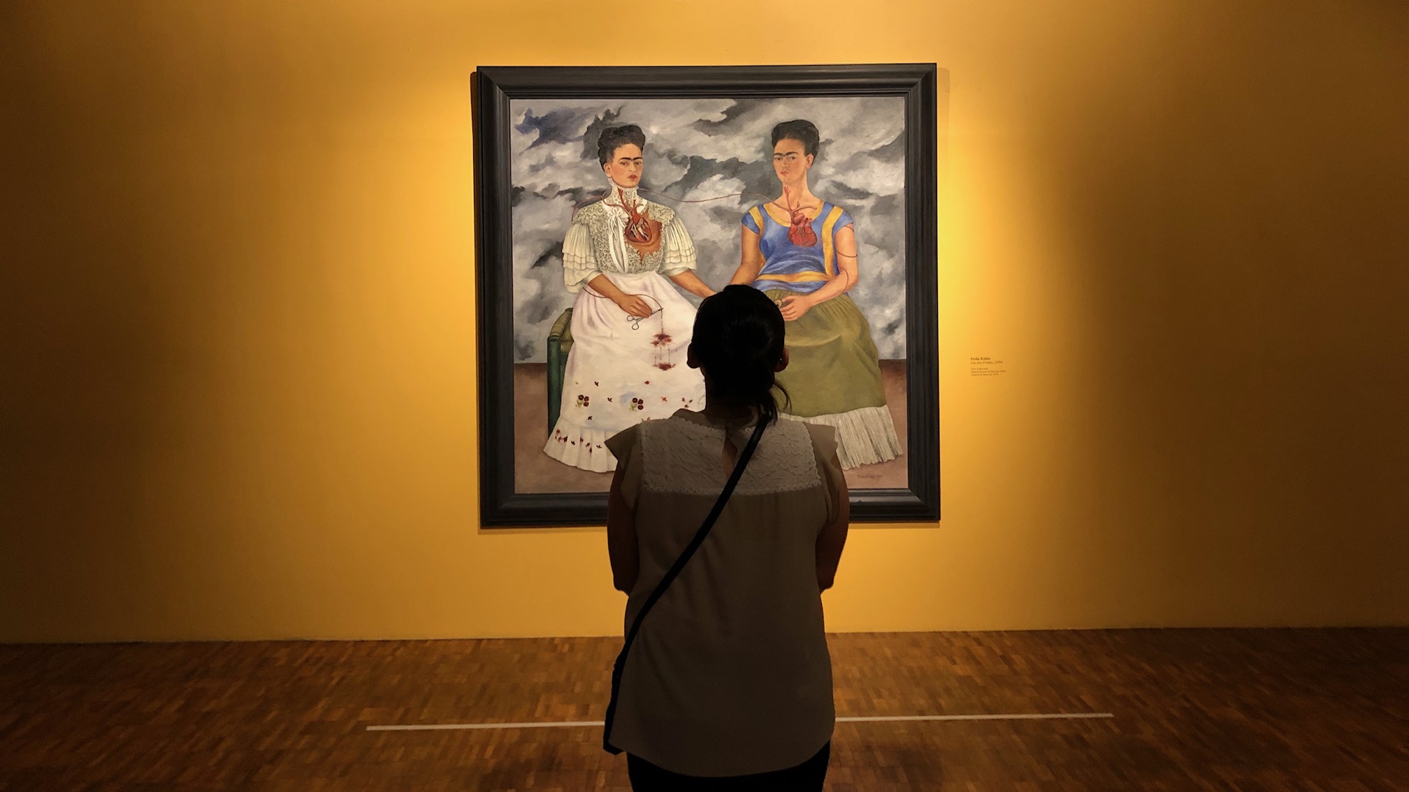 foto museo de arte moderno frida kahlo rocio mandujano rmt