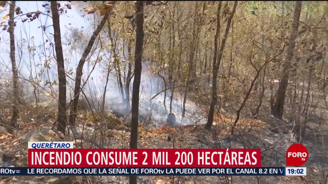 Foto: Incendio Forestal Sierra Gorda Querétaro 24 Mayo 2019