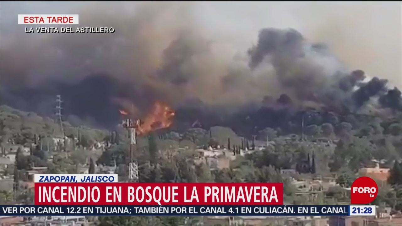 FOTO: Incendio en Bosque la Primavera en Zapopan, Jalisco, 12 MAYO 2019