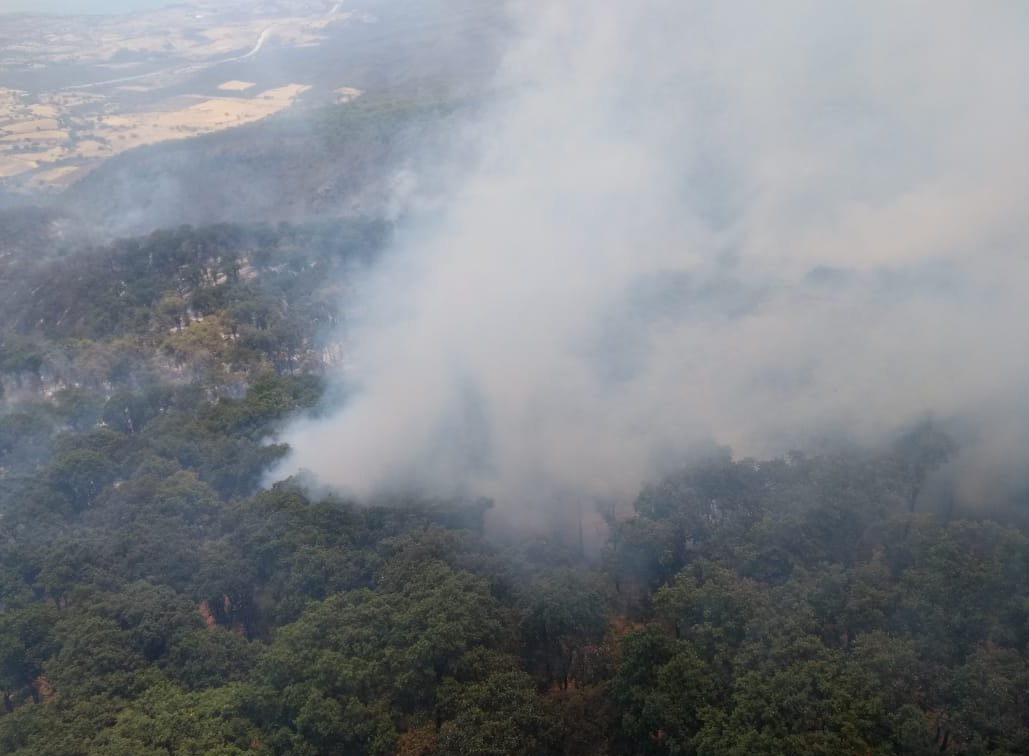 Activan alerta atmosférica en tres municipios de Jalisco por incendio forestal