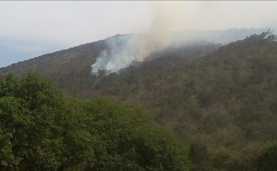 Foto: Incendio forestal en Querétaro, 27 de mayo 2019. Twitter @CONAFOR