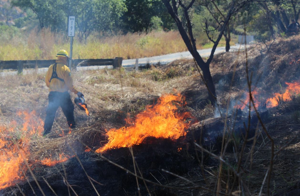 Incendio forestal consume más de 4 mil hectáreas en San Luis Potosí