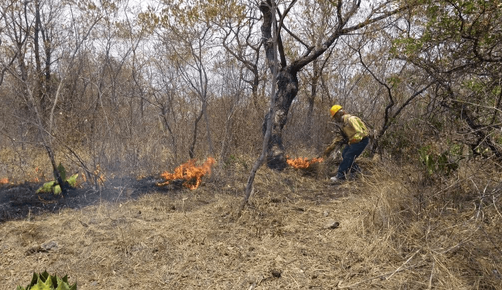 Foto: Incendio en el predio El Calvario, en Chilpancingo, Guerrero, 9 de mayo de 2019, Guerrero