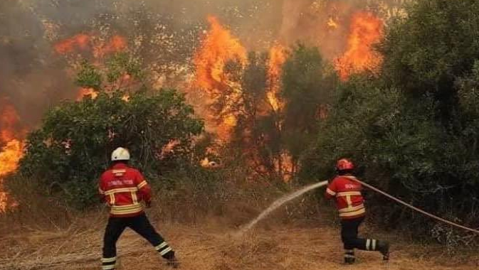 Incendio sigue activo hoy en la Sierra Gorda de Querétaro